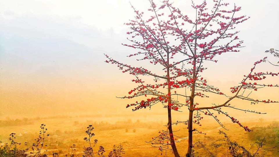 Diem Dung Chan Can Ty Ha Giang Exterior foto