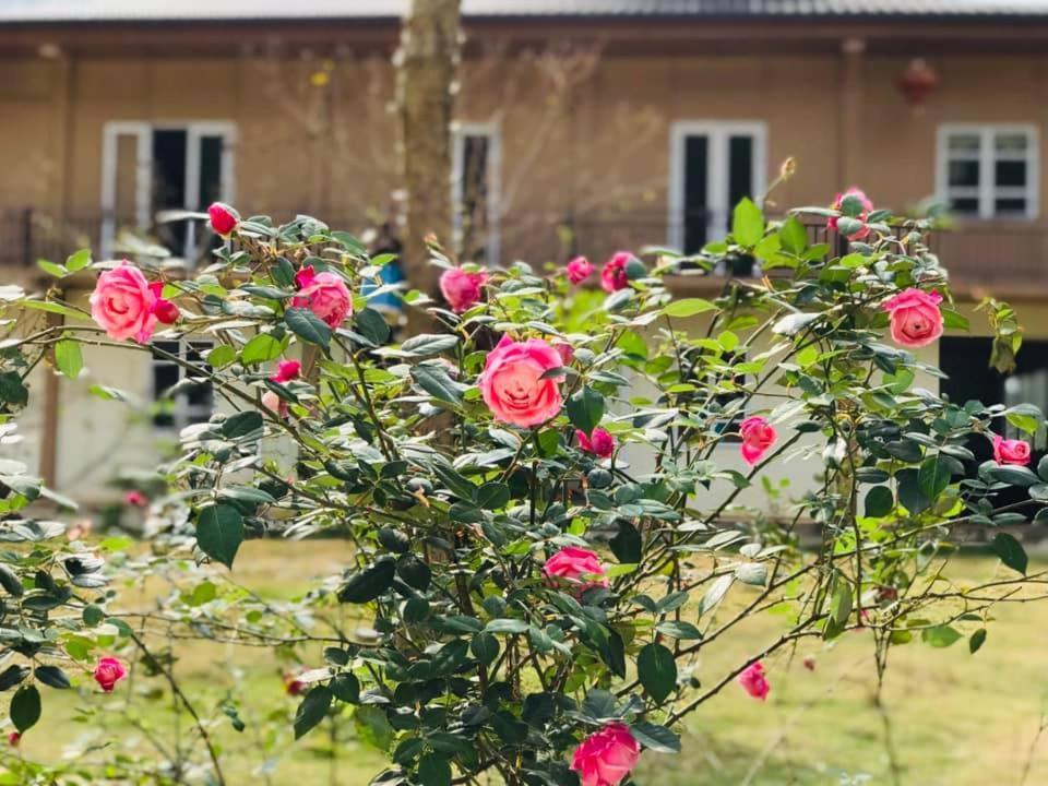 Diem Dung Chan Can Ty Ha Giang Exterior foto
