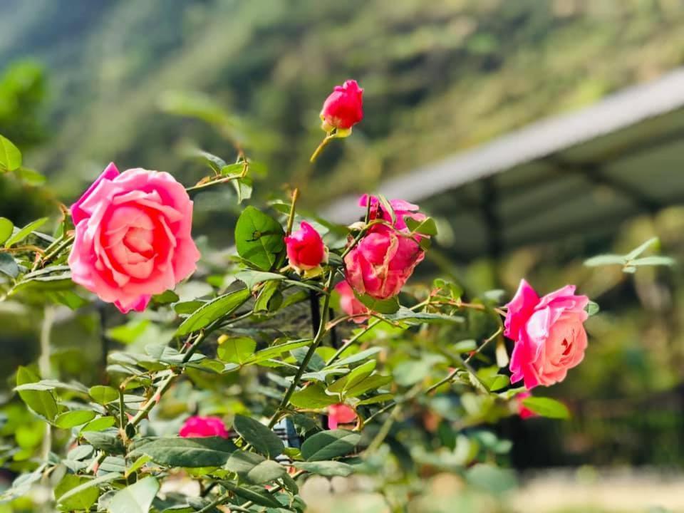 Diem Dung Chan Can Ty Ha Giang Exterior foto